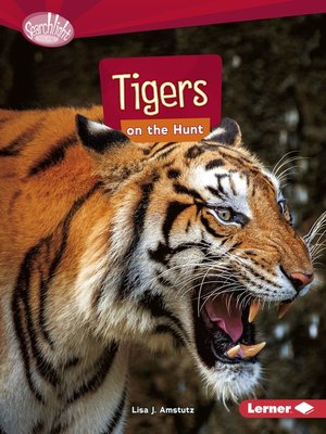 cover image of Tigers on the Hunt